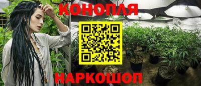 Альфа ПВП Ивантеевка